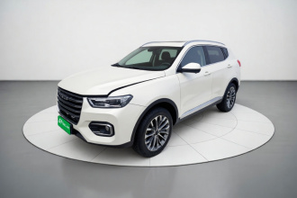 哈弗H6 2020款 1.5GDIT 自动铂金冠军版