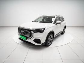 吉利汽车 豪越L 2024款 2.0T DCT尊贵型