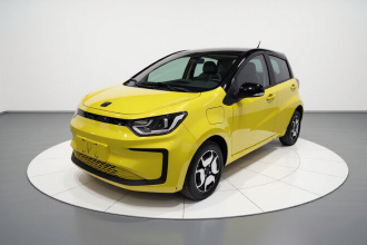 思皓 花仙子 2021款 302km 超越型 31.4kWh