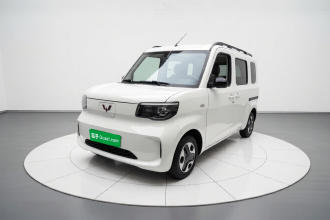 五菱汽车 五菱之光新能源 2025款 305km 进取型