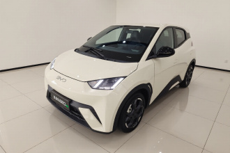 比亚迪 海鸥 2024款 荣耀版 305km 自由版