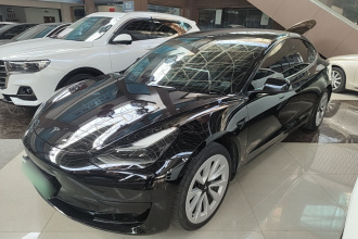 特斯拉 Model 3 2020款 改款 标准续航后驱升级版