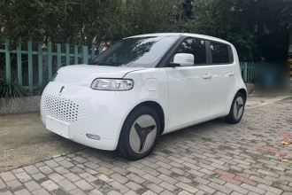 欧拉白猫 2020款 360km 豪华型