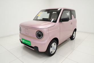 吉利银河 2024款 熊猫mini 200km 耐力熊
