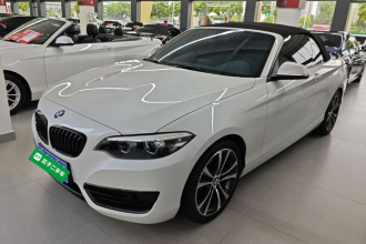 宝马2系(进口) 2019款 225i 敞篷轿跑车 运动设计套装