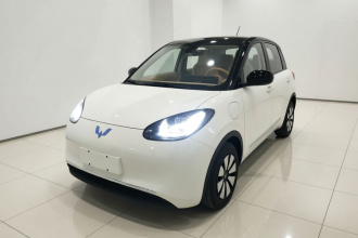五菱汽车 五菱缤果 2025款 333km 悦享款