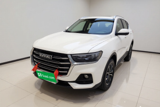 哈弗H6 2021款 国潮版 1.5T 自动都市版