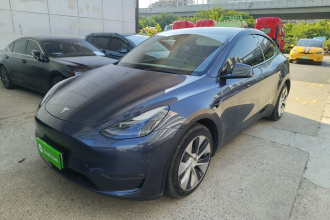 特斯拉 Model Y 2021款 长续航全轮驱动版