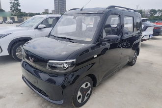 五菱汽车 五菱之光新能源 2025款 305km 进取型