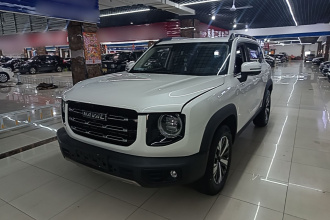 哈弗大狗 2021款 1.5T DCT两驱拉布拉多版