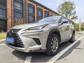 雷克萨斯NX 2020款 200 全驱 锋尚版 国VI