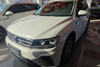 大众 途观L新能源 2020款 430PHEV 插电混动尊贵版