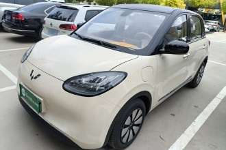 五菱汽车 五菱缤果 2025款 333km 悦享款