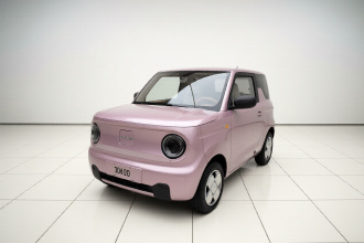吉利银河 2023款 熊猫mini 200km 耐力熊