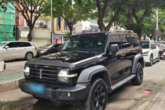 坦克300 2021款 越野版 2.0T 征服者