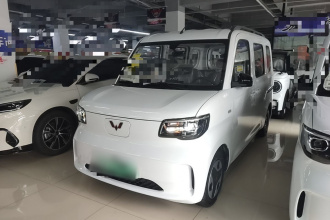 五菱汽车 五菱之光新能源 2025款 305km 进取型