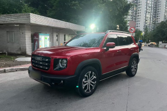 哈弗大狗 2021款 1.5T DCT两驱边牧-旺财版