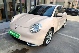 欧拉好猫 2021款 400km标准续航 维纳斯版 磷酸铁锂