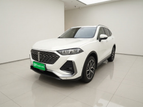 魏牌 拿铁DHT-PHEV 2022款 1.5T 两驱超大杯