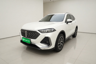 魏牌 拿铁DHT-PHEV 2022款 1.5T 两驱超大杯