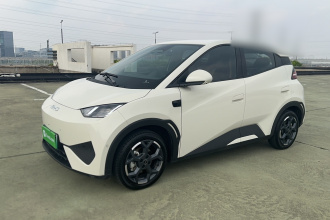 比亚迪 海鸥 2025款 智驾版 305km 自由版