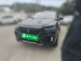 魏牌 VV7 2019款 升级款 2.0T 旗舰型 国VI