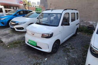 五菱汽车 五菱之光新能源 2025款 305km 进取型