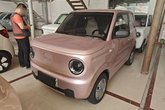 吉利银河 2024款 熊猫mini 200km 耐力熊