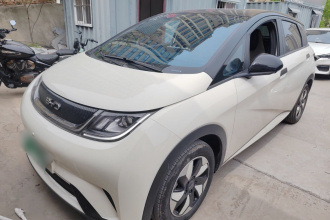 比亚迪 海豚 2024款 荣耀版 420km 自由版