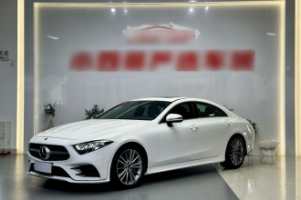 奔驰CLS 2020款 CLS 300 动感型