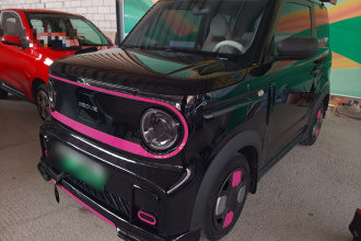 吉利银河 2024款 200km 熊猫卡丁