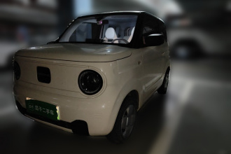 吉利银河 2023款 熊猫mini 200km 耐力熊
