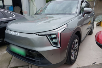 哈弗枭龙 2023款 1.5L 110KM领航版