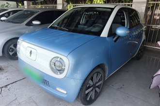 欧拉黑猫 2021款 351km 标准型