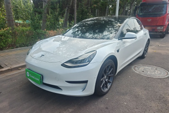 特斯拉 Model 3 2020款 标准续航后驱升级版