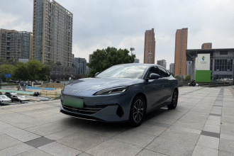 比亚迪 海豹06新能源 2024款 DM-i 80KM尊贵型