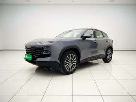 捷途大圣 2024款 1.6T DCT 王者