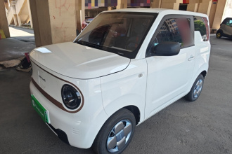 吉利银河 2023款 熊猫mini 200km 耐力熊