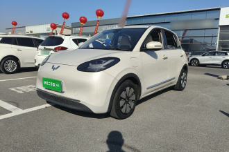 五菱汽车 五菱缤果 2023款 333km 悦享+款