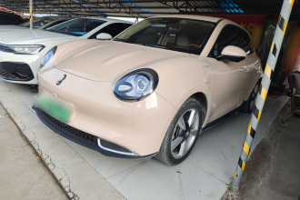 欧拉好猫 2023款 401km标准续航 尊荣型 磷酸铁锂