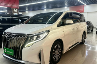 广汽传祺 传祺M8 2021款 大师系列 390T 尊贵版