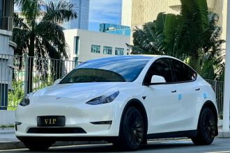特斯拉 Model Y 2023款 长续航全轮驱动版