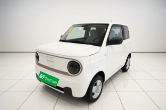 吉利银河 2024款 熊猫mini 200km 耐力熊