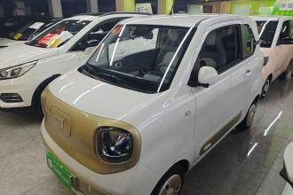 奔腾小马 2025款 222km 闪电马