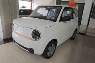 吉利银河 2024款 熊猫mini 200km 耐力熊