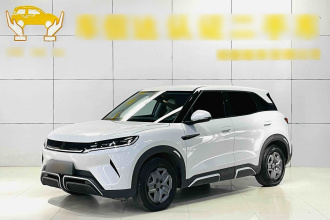 比亚迪 元UP 2024款  401KM 活力版