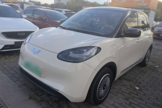五菱汽车 五菱缤果 2025款 333km 灵犀互联款