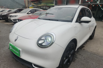 欧拉好猫 2024款 401km 豪华型