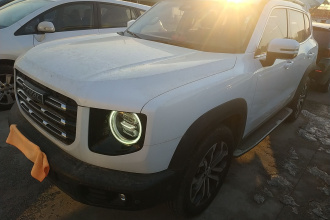 哈弗大狗 2021款 1.5T DCT两驱马犬版