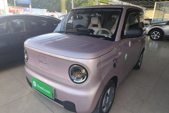 吉利银河 2023款 熊猫mini 200km 耐力熊